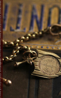 盾形飾りの付いた短いちょい掛け金無垢懐中時計チェーン-C0492-3