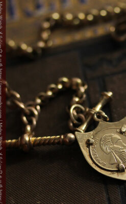 盾形飾りの付いた短いちょい掛け金無垢懐中時計チェーン-C0492-5