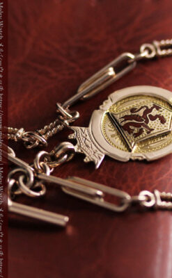 エナメルの赤竜の飾り 金無垢アンティーク懐中時計チェーン-C0498-17