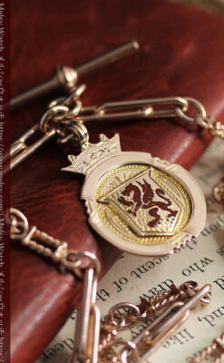 エナメルの赤竜の飾り 金無垢アンティーク懐中時計チェーン-C0498-20