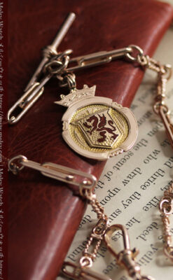 エナメルの赤竜の飾り 金無垢アンティーク懐中時計チェーン-C0498-21