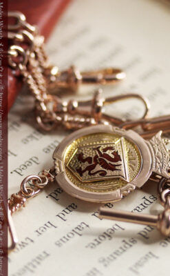 エナメルの赤竜の飾り 金無垢アンティーク懐中時計チェーン-C0498-26