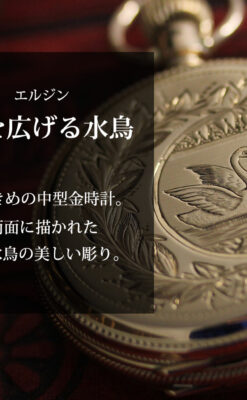 水鳥と植物の彫り エルジンの金無垢懐中時計 【1886年頃】-P2327-0