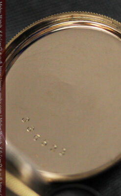 水鳥と植物の彫り エルジンの金無垢懐中時計 【1886年頃】-P2327-21