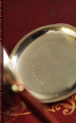 エルジン 装飾されたケースに色鮮やかなアンティーク腕時計 【1894年頃】-W1567-19