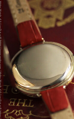 エルジン 装飾されたケースに色鮮やかなアンティーク腕時計 【1894年頃】-W1567-20