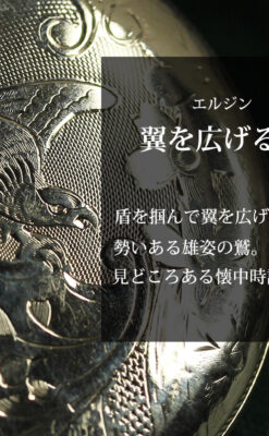盾を掴み羽根を広げる鷲 エルジンのアンティーク懐中時計 【1913年頃】-P2335-0