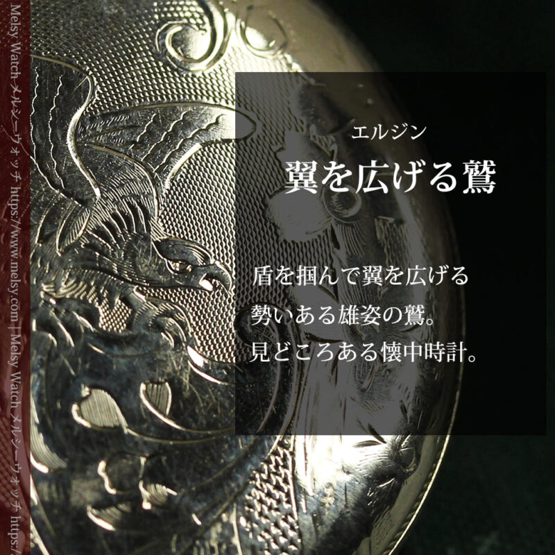 盾を掴み羽根を広げる鷲 エルジンのアンティーク懐中時計 【1913年頃】-P2335-0