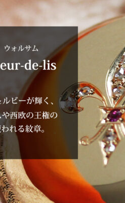 フルール・ド・リス 14金無垢ウォルサムのアンティーク懐中時計 【1893年頃】ダイヤ&ルビー-P2342-0