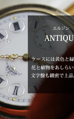 黄色の花と緑の葉 エルジンのアンティーク懐中時計 【1904年頃】-P2346-0