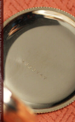 黄色の花と緑の葉 エルジンのアンティーク懐中時計 【1904年頃】-P2346-20