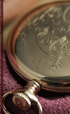 淡い黄色と金の美しい装飾 エルジンのアンティーク懐中時計【1900年頃】-P2356-14