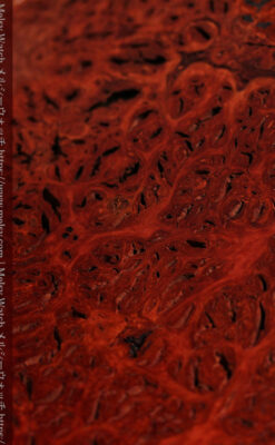 木製コレクションボックス 木目と素材を活かした木工作家の特別製作品-A0331-6