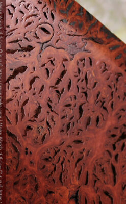 木製コレクションボックス 木目と素材を活かした木工作家の特別製作品-A0331-8