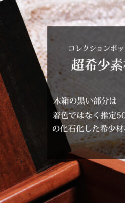 推定5000年前の希少材を使った木製のコレクションボックス 作家の特別製作品-A0333-0