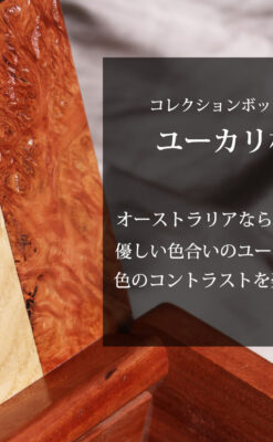 ユーカリの優しい色と模様の美しいレッドガム 手作り木製コレクションボックス・木箱-A0335-0