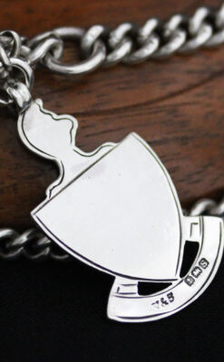 アンティーク懐中時計チェーン-C0438-9