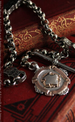 雰囲気の良いアンティークチェーンと2色の銀無垢飾り-C0478-10