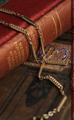 ２種類の装飾されたバーの綺麗な懐中時計チェーン-C0485-3