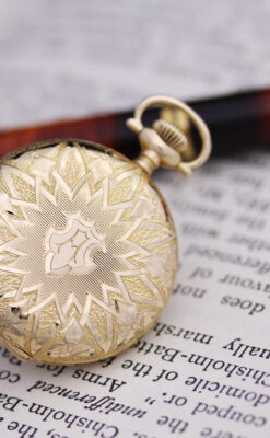 エルジン懐中時計-P2184-2