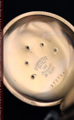 ウォルサムのダイヤモンド入りアンティーク懐中時計-P2254-13