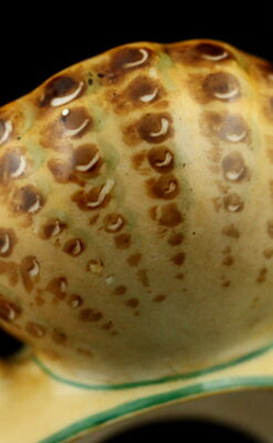 懐中時計スタンド-S0829-13