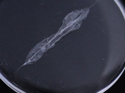 割れたプラスチック風防