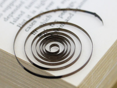 広がったぜんまい